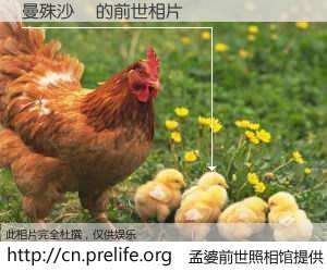 #孟婆前世照相馆# 【曼殊沙華 的前世相片】我们都曾从奈何桥上走过，喝下三碗忘川之水烹煮的孟婆汤，忘却了前尘旧事。孟婆前世照相馆，保存着你前世的数码相片。曼殊沙華 的前世相片，有图有真相：