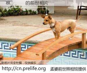 #孟婆前世照相馆# 【林陳凱綸 的前世相片】我们都曾从奈何桥上走过，喝下三碗忘川之水烹煮的孟婆汤，忘却了前尘旧事。孟婆前世照相馆，保存着你前世的数码相片。林陳凱綸 的前世相片，有图有真相：