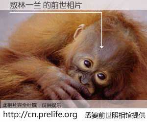 #孟婆前世照相馆# 【敖林一兰 的前世相片】我们都曾从奈何桥上走过，喝下三碗忘川之水烹煮的孟婆汤，忘却了前尘旧事。孟婆前世照相馆，保存着你前世的数码相片。敖林一兰 的前世相片，有图有真相：