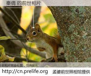 #孟婆前世照相馆# 【秦倩 的前世相片】我们都曾从奈何桥上走过，喝下三碗忘川之水烹煮的孟婆汤，忘却了前尘旧事。孟婆前世照相馆，保存着你前世的数码相片。秦倩 的前世相片，有图有真相：