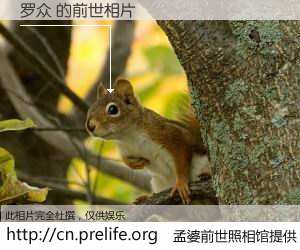 #孟婆前世照相馆# 【罗众 的前世相片】我们都曾从奈何桥上走过，喝下三碗忘川之水烹煮的孟婆汤，忘却了前尘旧事。孟婆前世照相馆，保存着你前世的数码相片。罗众 的前世相片，有图有真相：