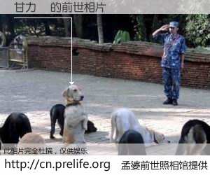 #孟婆前世照相馆# 【甘力軒 的前世相片】我们都曾从奈何桥上走过，喝下三碗忘川之水烹煮的孟婆汤，忘却了前尘旧事。孟婆前世照相馆，保存着你前世的数码相片。甘力軒 的前世相片，有图有真相：