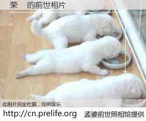 #孟婆前世照相馆# 【荣榮 的前世相片】我们都曾从奈何桥上走过，喝下三碗忘川之水烹煮的孟婆汤，忘却了前尘旧事。孟婆前世照相馆，保存着你前世的数码相片。荣榮 的前世相片，有图有真相：