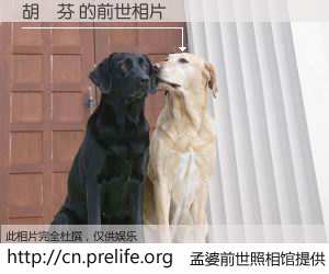 #孟婆前世照相馆# 【胡澤芬 的前世相片】我们都曾从奈何桥上走过，喝下三碗忘川之水烹煮的孟婆汤，忘却了前尘旧事。孟婆前世照相馆，保存着你前世的数码相片。胡澤芬 的前世相片，有图有真相：