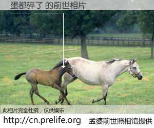 #孟婆前世照相馆# 【蛋都碎了 的前世相片】我们都曾从奈何桥上走过，喝下三碗忘川之水烹煮的孟婆汤，忘却了前尘旧事。孟婆前世照相馆，保存着你前世的数码相片。蛋都碎了 的前世相片，有图有真相：