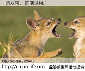 #孟婆前世照相馆# 【蔡双霜、 的前世相片】我们都曾从奈何桥上走过，喝下三碗忘川之水烹煮的孟婆汤，忘却了前尘旧事。孟婆前世照相馆，保存着你前世的数码相片。蔡双霜、 的前世相片，有图有真相：