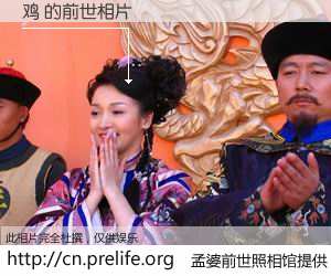 #孟婆前世照相馆# 【鸡 的前世相片】我们都曾从奈何桥上走过，喝下三碗忘川之水烹煮的孟婆汤，忘却了前尘旧事。孟婆前世照相馆，保存着你前世的数码相片。鸡 的前世相片，有图有真相：