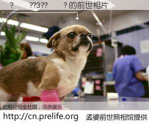 #孟婆前世照相馆# 【?��??3??��? 的前世相片】我们都曾从奈何桥上走过，喝下三碗忘川之水烹煮的孟婆汤，忘却了前尘旧事。孟婆前世照相馆，保存着你前世的数码相片。?��??3??��? 的前世相片，有图有真相：