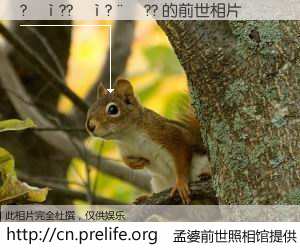 #孟婆前世照相馆# 【?��??��?��?? 的前世相片】我们都曾从奈何桥上走过，喝下三碗忘川之水烹煮的孟婆汤，忘却了前尘旧事。孟婆前世照相馆，保存着你前世的数码相片。?��??��?��?? 的前世相片，有图有真相：