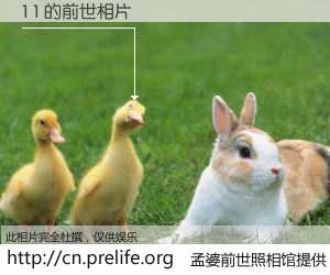 #孟婆前世照相馆# 【1 1 的前世相片】我们都曾从奈何桥上走过，喝下三碗忘川之水烹煮的孟婆汤，忘却了前尘旧事。孟婆前世照相馆，保存着你前世的数码相片。1 1 的前世相片，有图有真相：