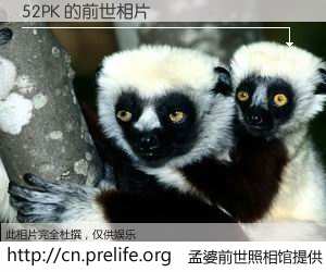 #孟婆前世照相馆# 【52PK 的前世相片】我们都曾从奈何桥上走过，喝下三碗忘川之水烹煮的孟婆汤，忘却了前尘旧事。孟婆前世照相馆，保存着你前世的数码相片。52PK 的前世相片，有图有真相：