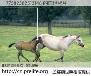 #孟婆前世照相馆# 【77582582513148 的前世相片】我们都曾从奈何桥上走过，喝下三碗忘川之水烹煮的孟婆汤，忘却了前尘旧事。孟婆前世照相馆，保存着你前世的数码相片。77582582513148 的前世相片，有图有真相：