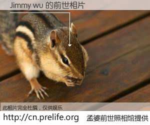 #孟婆前世照相馆# 【Jimmy wu 的前世相片】我们都曾从奈何桥上走过，喝下三碗忘川之水烹煮的孟婆汤，忘却了前尘旧事。孟婆前世照相馆，保存着你前世的数码相片。Jimmy wu 的前世相片，有图有真相：