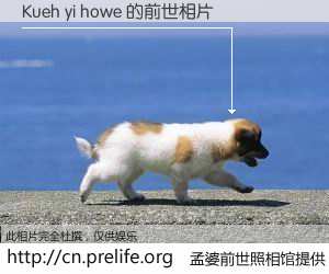#孟婆前世照相馆# 【Kueh yi howe 的前世相片】我们都曾从奈何桥上走过，喝下三碗忘川之水烹煮的孟婆汤，忘却了前尘旧事。孟婆前世照相馆，保存着你前世的数码相片。Kueh yi howe 的前世相片，有图有真相：