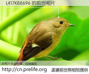 #孟婆前世照相馆# 【L417KB8696 的前世相片】我们都曾从奈何桥上走过，喝下三碗忘川之水烹煮的孟婆汤，忘却了前尘旧事。孟婆前世照相馆，保存着你前世的数码相片。L417KB8696 的前世相片，有图有真相：