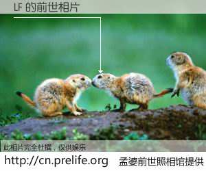 #孟婆前世照相馆# 【LF 的前世相片】我们都曾从奈何桥上走过，喝下三碗忘川之水烹煮的孟婆汤，忘却了前尘旧事。孟婆前世照相馆，保存着你前世的数码相片。LF 的前世相片，有图有真相：