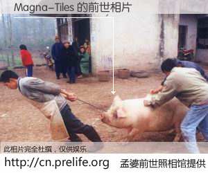 #孟婆前世照相馆# 【Magna-Tiles 的前世相片】我们都曾从奈何桥上走过，喝下三碗忘川之水烹煮的孟婆汤，忘却了前尘旧事。孟婆前世照相馆，保存着你前世的数码相片。Magna-Tiles 的前世相片，有图有真相：