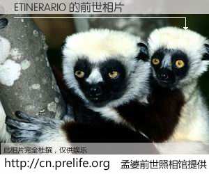 #孟婆前世照相馆# 【ETINERARIO 的前世相片】我们都曾从奈何桥上走过，喝下三碗忘川之水烹煮的孟婆汤，忘却了前尘旧事。孟婆前世照相馆，保存着你前世的数码相片。ETINERARIO 的前世相片，有图有真相：