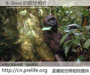 #孟婆前世照相馆# 【R-Einva 的前世相片】我们都曾从奈何桥上走过，喝下三碗忘川之水烹煮的孟婆汤，忘却了前尘旧事。孟婆前世照相馆，保存着你前世的数码相片。R-Einva 的前世相片，有图有真相：