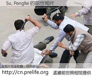 #孟婆前世照相馆# 【Su, Pengfei 的前世相片】我们都曾从奈何桥上走过，喝下三碗忘川之水烹煮的孟婆汤，忘却了前尘旧事。孟婆前世照相馆，保存着你前世的数码相片。Su, Pengfei 的前世相片，有图有真相：