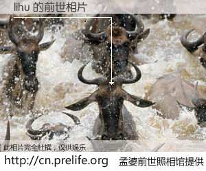 #孟婆前世照相馆# 【lihu 的前世相片】我们都曾从奈何桥上走过，喝下三碗忘川之水烹煮的孟婆汤，忘却了前尘旧事。孟婆前世照相馆，保存着你前世的数码相片。lihu 的前世相片，有图有真相：