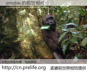 #孟婆前世照相馆# 【amable 的前世相片】我们都曾从奈何桥上走过，喝下三碗忘川之水烹煮的孟婆汤，忘却了前尘旧事。孟婆前世照相馆，保存着你前世的数码相片。amable 的前世相片，有图有真相：