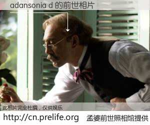 #孟婆前世照相馆# 【adansonia d 的前世相片】我们都曾从奈何桥上走过，喝下三碗忘川之水烹煮的孟婆汤，忘却了前尘旧事。孟婆前世照相馆，保存着你前世的数码相片。adansonia d 的前世相片，有图有真相：