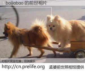 #孟婆前世照相馆# 【baijiabao 的前世相片】我们都曾从奈何桥上走过，喝下三碗忘川之水烹煮的孟婆汤，忘却了前尘旧事。孟婆前世照相馆，保存着你前世的数码相片。baijiabao 的前世相片，有图有真相：