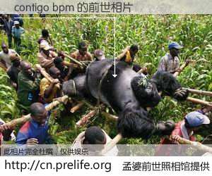 #孟婆前世照相馆# 【contigo bpm 的前世相片】我们都曾从奈何桥上走过，喝下三碗忘川之水烹煮的孟婆汤，忘却了前尘旧事。孟婆前世照相馆，保存着你前世的数码相片。contigo bpm 的前世相片，有图有真相：