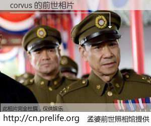 #孟婆前世照相馆# 【corvus 的前世相片】我们都曾从奈何桥上走过，喝下三碗忘川之水烹煮的孟婆汤，忘却了前尘旧事。孟婆前世照相馆，保存着你前世的数码相片。corvus 的前世相片，有图有真相：