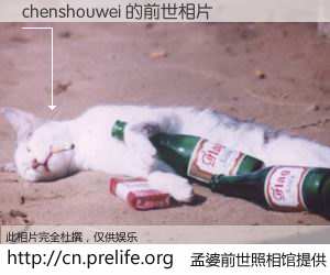 #孟婆前世照相馆# 【chenshouwei 的前世相片】我们都曾从奈何桥上走过，喝下三碗忘川之水烹煮的孟婆汤，忘却了前尘旧事。孟婆前世照相馆，保存着你前世的数码相片。chenshouwei 的前世相片，有图有真相：