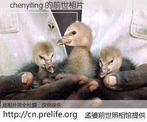 #孟婆前世照相馆# 【chenyiting 的前世相片】我们都曾从奈何桥上走过，喝下三碗忘川之水烹煮的孟婆汤，忘却了前尘旧事。孟婆前世照相馆，保存着你前世的数码相片。chenyiting 的前世相片，有图有真相：