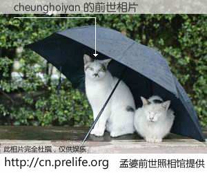 #孟婆前世照相馆# 【cheunghoiyan 的前世相片】我们都曾从奈何桥上走过，喝下三碗忘川之水烹煮的孟婆汤，忘却了前尘旧事。孟婆前世照相馆，保存着你前世的数码相片。cheunghoiyan 的前世相片，有图有真相：