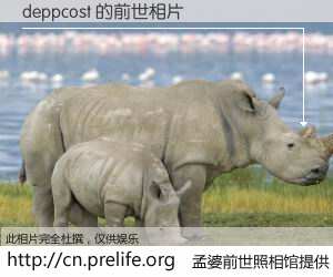 #孟婆前世照相馆# 【deppcost 的前世相片】我们都曾从奈何桥上走过，喝下三碗忘川之水烹煮的孟婆汤，忘却了前尘旧事。孟婆前世照相馆，保存着你前世的数码相片。deppcost 的前世相片，有图有真相：