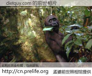 #孟婆前世照相馆# 【dietquy.com 的前世相片】我们都曾从奈何桥上走过，喝下三碗忘川之水烹煮的孟婆汤，忘却了前尘旧事。孟婆前世照相馆，保存着你前世的数码相片。dietquy.com 的前世相片，有图有真相：
