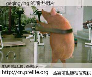 #孟婆前世照相馆# 【geqingying 的前世相片】我们都曾从奈何桥上走过，喝下三碗忘川之水烹煮的孟婆汤，忘却了前尘旧事。孟婆前世照相馆，保存着你前世的数码相片。geqingying 的前世相片，有图有真相：