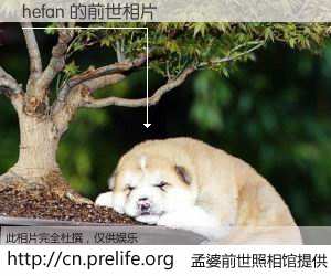 #孟婆前世照相馆# 【hefan 的前世相片】我们都曾从奈何桥上走过，喝下三碗忘川之水烹煮的孟婆汤，忘却了前尘旧事。孟婆前世照相馆，保存着你前世的数码相片。hefan 的前世相片，有图有真相：