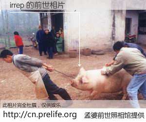 #孟婆前世照相馆# 【irrep 的前世相片】我们都曾从奈何桥上走过，喝下三碗忘川之水烹煮的孟婆汤，忘却了前尘旧事。孟婆前世照相馆，保存着你前世的数码相片。irrep 的前世相片，有图有真相：