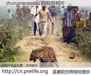 #孟婆前世照相馆# 【zhongmiaomiao 的前世相片】我们都曾从奈何桥上走过，喝下三碗忘川之水烹煮的孟婆汤，忘却了前尘旧事。孟婆前世照相馆，保存着你前世的数码相片。zhongmiaomiao 的前世相片，有图有真相：