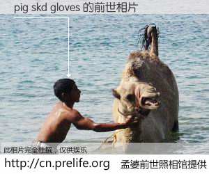 #孟婆前世照相馆# 【pig skd gloves 的前世相片】我们都曾从奈何桥上走过，喝下三碗忘川之水烹煮的孟婆汤，忘却了前尘旧事。孟婆前世照相馆，保存着你前世的数码相片。pig skd gloves 的前世相片，有图有真相：