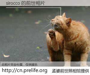 #孟婆前世照相馆# 【sirocco 的前世相片】我们都曾从奈何桥上走过，喝下三碗忘川之水烹煮的孟婆汤，忘却了前尘旧事。孟婆前世照相馆，保存着你前世的数码相片。sirocco 的前世相片，有图有真相：