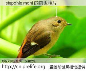 #孟婆前世照相馆# 【stepahie mahi 的前世相片】我们都曾从奈何桥上走过，喝下三碗忘川之水烹煮的孟婆汤，忘却了前尘旧事。孟婆前世照相馆，保存着你前世的数码相片。stepahie mahi 的前世相片，有图有真相：