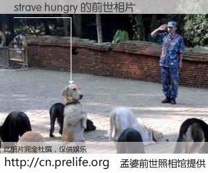 #孟婆前世照相馆# 【strave hungry 的前世相片】我们都曾从奈何桥上走过，喝下三碗忘川之水烹煮的孟婆汤，忘却了前尘旧事。孟婆前世照相馆，保存着你前世的数码相片。strave hungry 的前世相片，有图有真相：