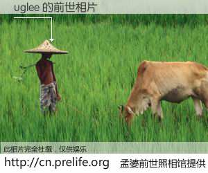 #孟婆前世照相馆# 【uglee 的前世相片】我们都曾从奈何桥上走过，喝下三碗忘川之水烹煮的孟婆汤，忘却了前尘旧事。孟婆前世照相馆，保存着你前世的数码相片。uglee 的前世相片，有图有真相：