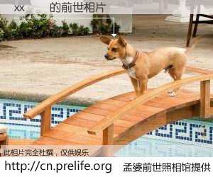 #孟婆前世照相馆# 【xx조아 的前世相片】我们都曾从奈何桥上走过，喝下三碗忘川之水烹煮的孟婆汤，忘却了前尘旧事。孟婆前世照相馆，保存着你前世的数码相片。xx조아 的前世相片，有图有真相：