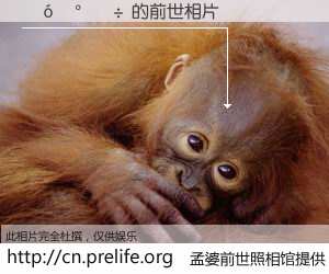 #孟婆前世照相馆# 【�󦰽� 的前世相片】我们都曾从奈何桥上走过，喝下三碗忘川之水烹煮的孟婆汤，忘却了前尘旧事。孟婆前世照相馆，保存着你前世的数码相片。�󦰽� 的前世相片，有图有真相：