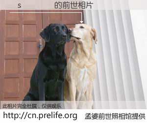 #孟婆前世照相馆# 【�s���� 的前世相片】我们都曾从奈何桥上走过，喝下三碗忘川之水烹煮的孟婆汤，忘却了前尘旧事。孟婆前世照相馆，保存着你前世的数码相片。�s���� 的前世相片，有图有真相：