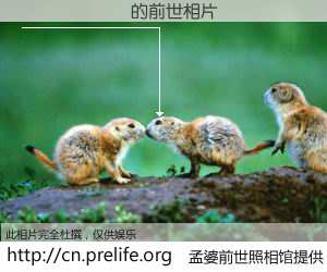 #孟婆前世照相馆# 【���� 的前世相片】我们都曾从奈何桥上走过，喝下三碗忘川之水烹煮的孟婆汤，忘却了前尘旧事。孟婆前世照相馆，保存着你前世的数码相片。���� 的前世相片，有图有真相：