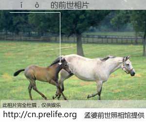 #孟婆前世照相馆# 【����Ƽ 的前世相片】我们都曾从奈何桥上走过，喝下三碗忘川之水烹煮的孟婆汤，忘却了前尘旧事。孟婆前世照相馆，保存着你前世的数码相片。����Ƽ 的前世相片，有图有真相：