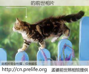 #孟婆前世照相馆# 【����ƽ 的前世相片】我们都曾从奈何桥上走过，喝下三碗忘川之水烹煮的孟婆汤，忘却了前尘旧事。孟婆前世照相馆，保存着你前世的数码相片。����ƽ 的前世相片，有图有真相：